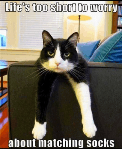 Black and white tuxedo cat sitting on a desk with the caption: Life's too short to worry about matching socks